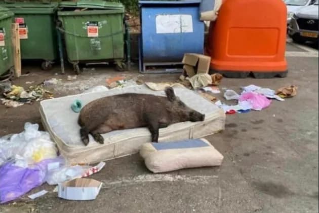 Co zrobić ze starym materacem? Sprawdź najlepsze sposoby na utylizację