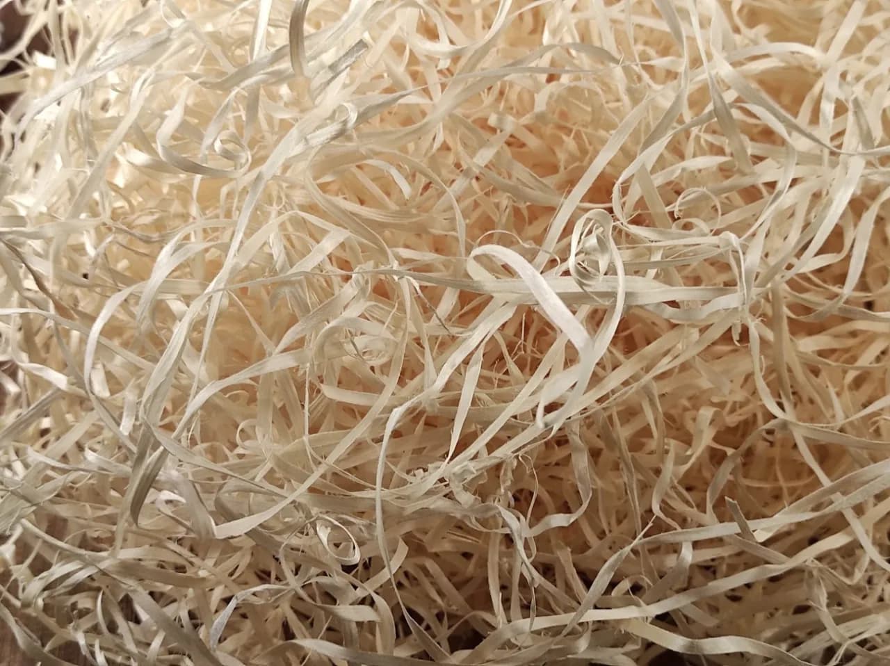 Gdzie kupić wełnę drzewną dekoracyjną? Sprawdź najlepsze oferty